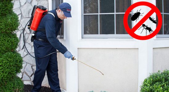 Tepebaşı Dezenfeksiyon böcek ilaçlama ve haşere kontrolü — ilaclama-tr.com